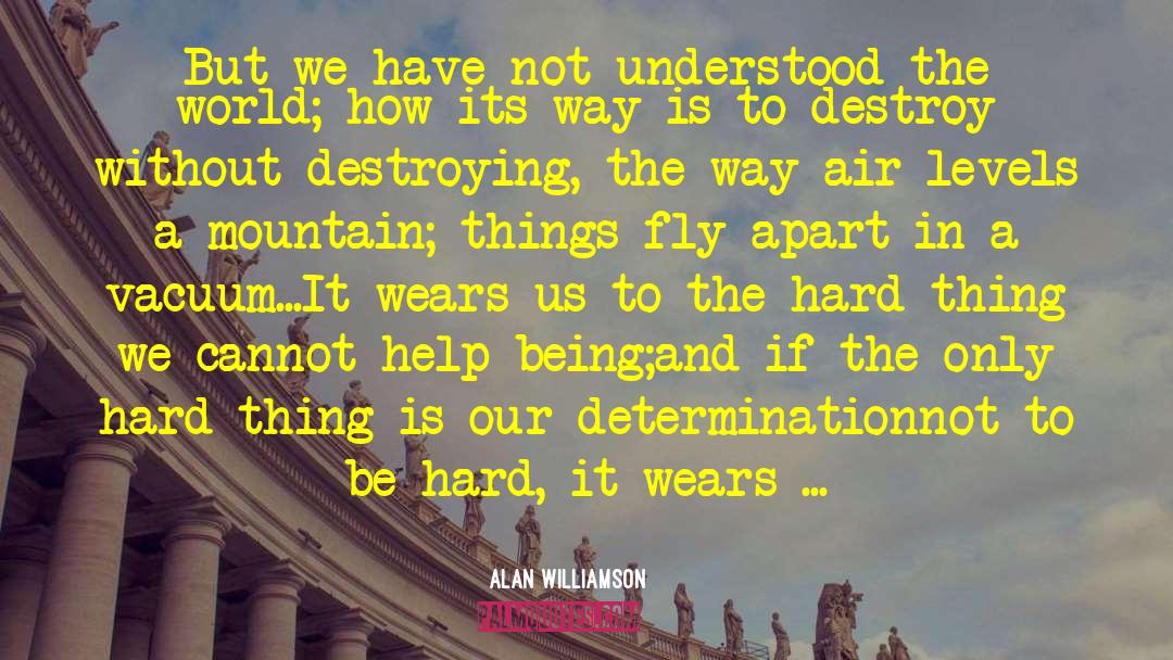Let It Fly quotes by Alan Williamson