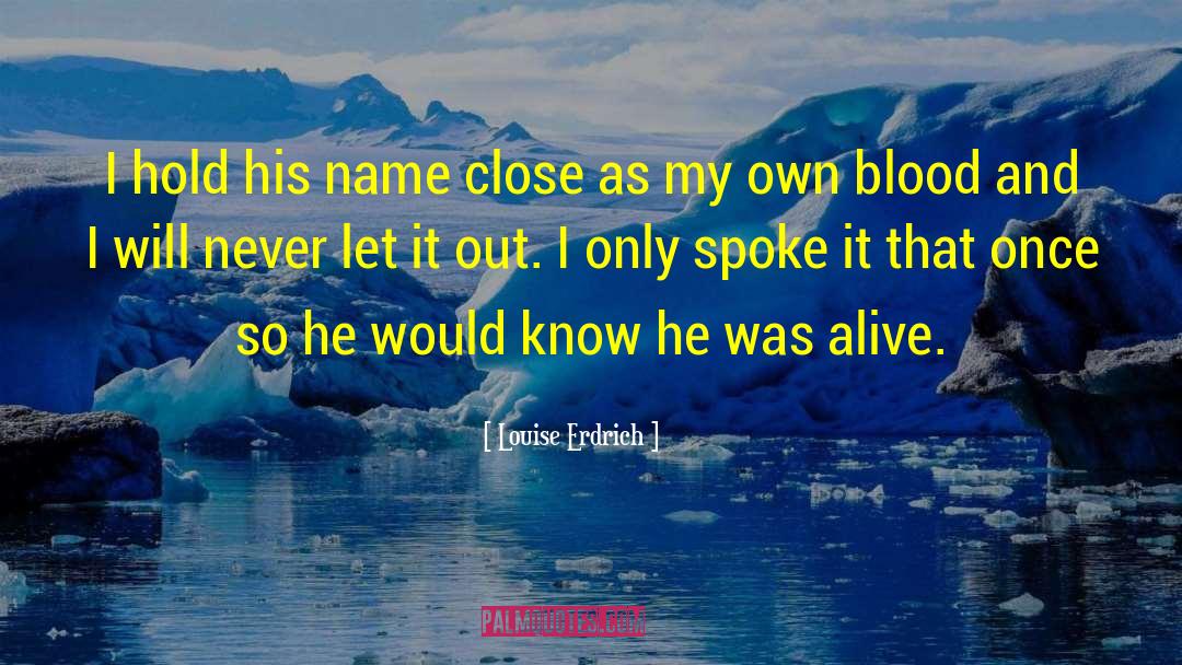 Let It Out quotes by Louise Erdrich