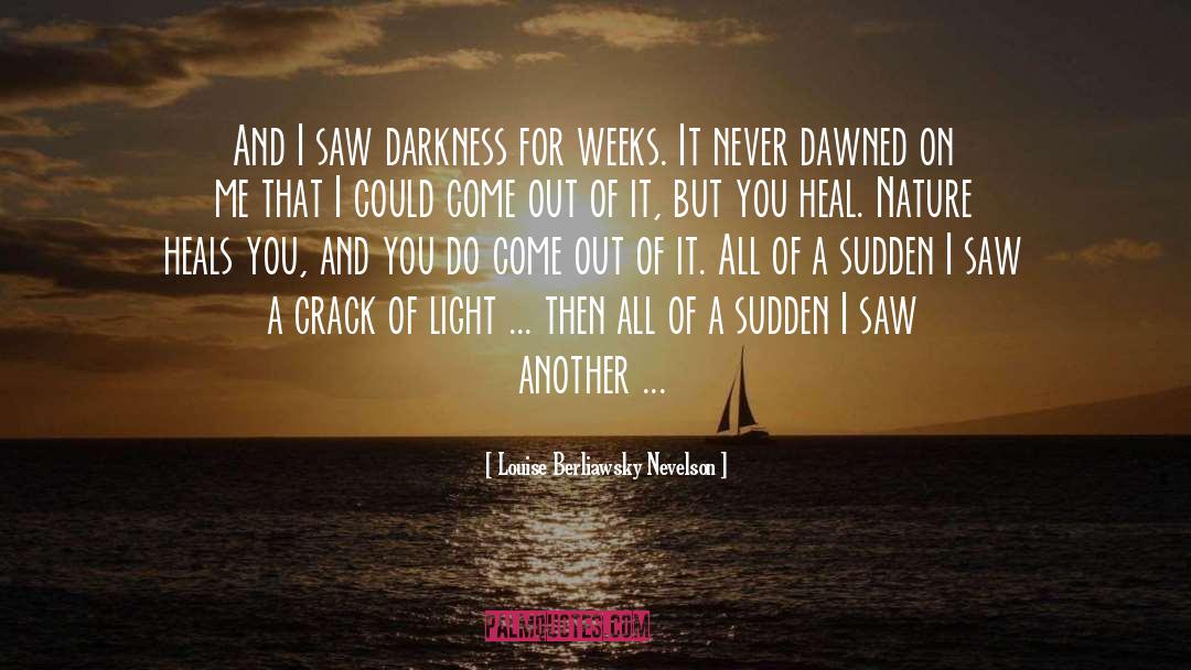 Let Light Come In quotes by Louise Berliawsky Nevelson