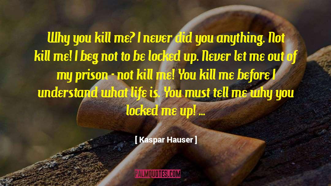 Let Me Be Clear quotes by Kaspar Hauser