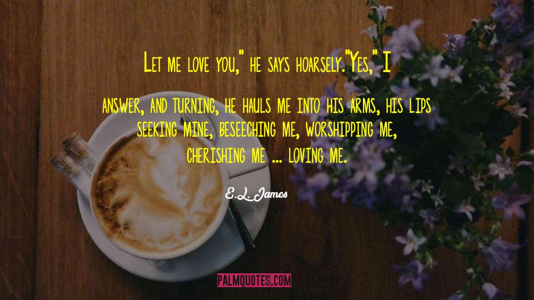 Let Me Love You quotes by E.L. James