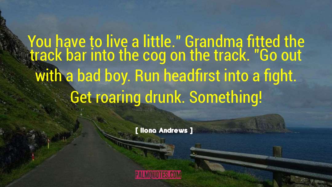 Let S Get Drunk quotes by Ilona Andrews