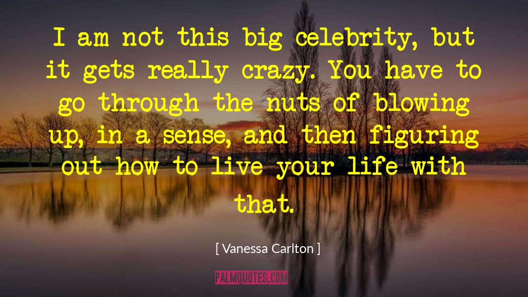 Let S Go Crazy quotes by Vanessa Carlton