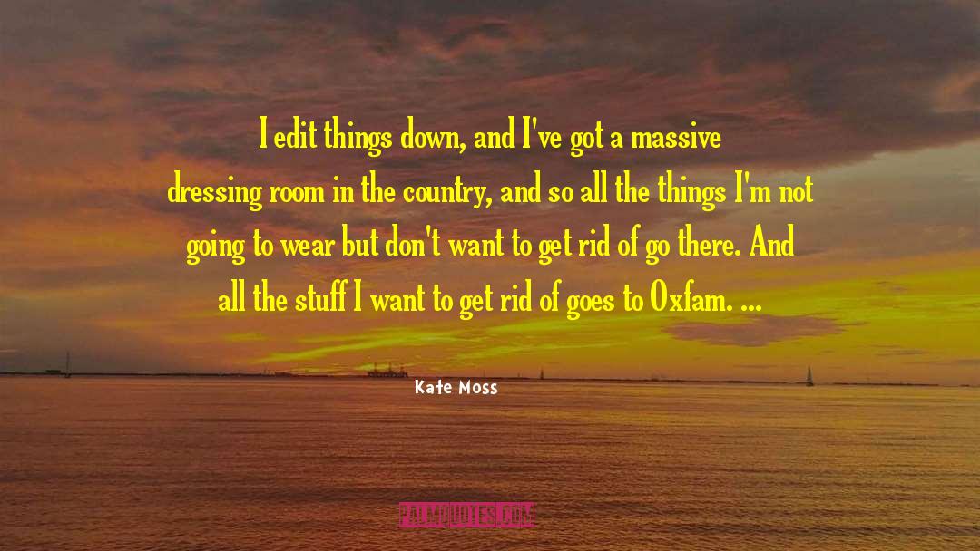 Let S Not Go There quotes by Kate Moss