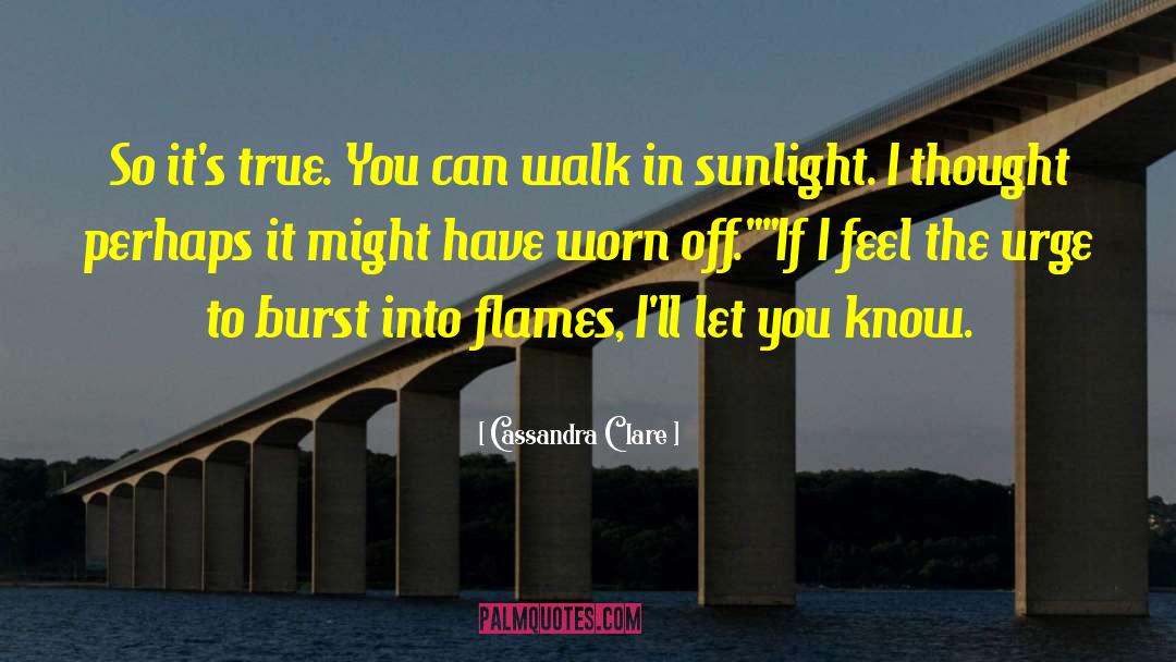 Let The Flames Begin quotes by Cassandra Clare