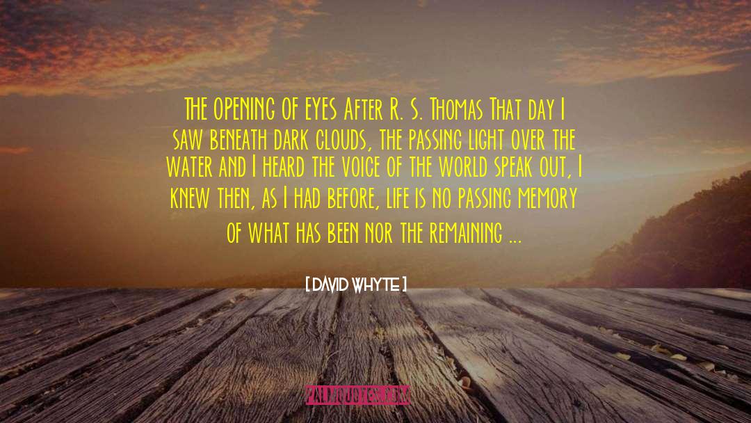Let The Light In quotes by David Whyte