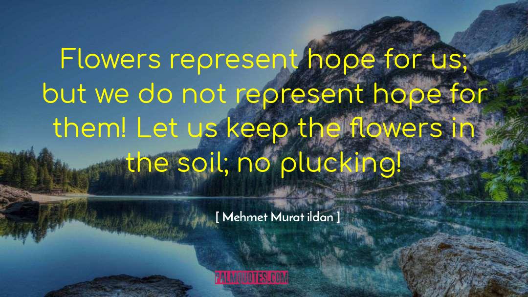 Let Us Love quotes by Mehmet Murat Ildan