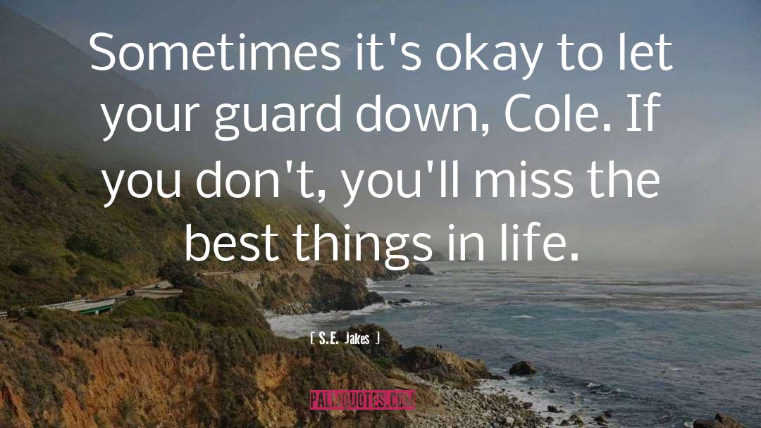 Let Your Guard Down quotes by S.E. Jakes