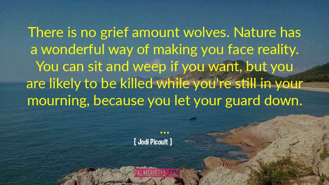 Let Your Guard Down quotes by Jodi Picoult