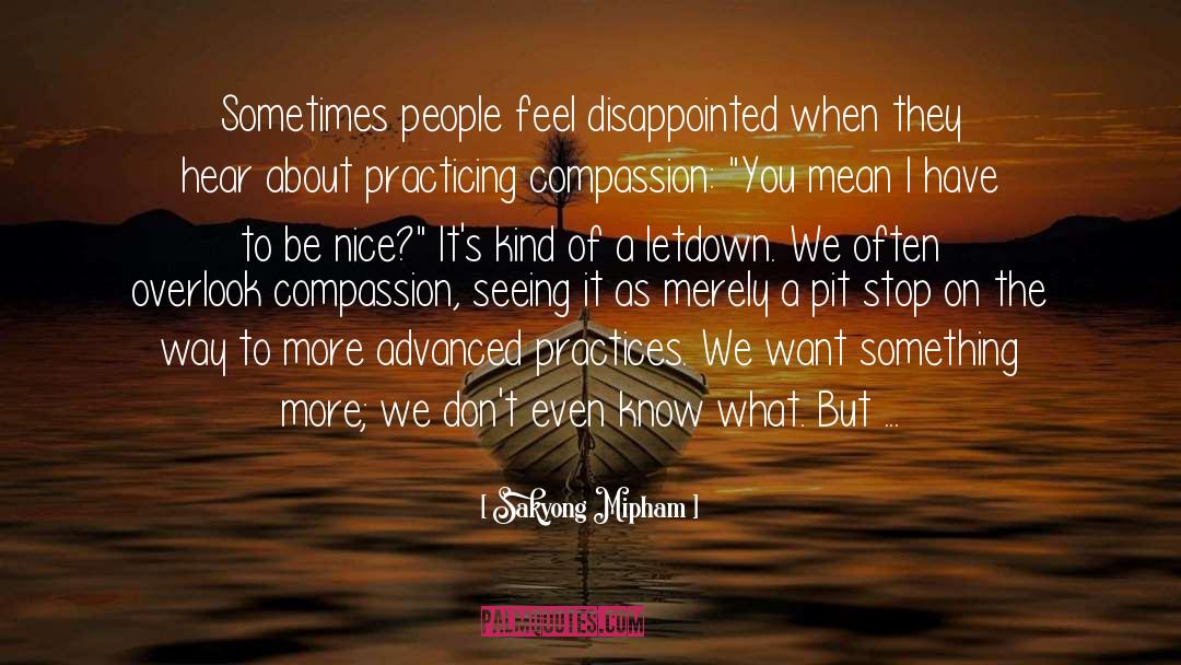 Letdown quotes by Sakyong Mipham