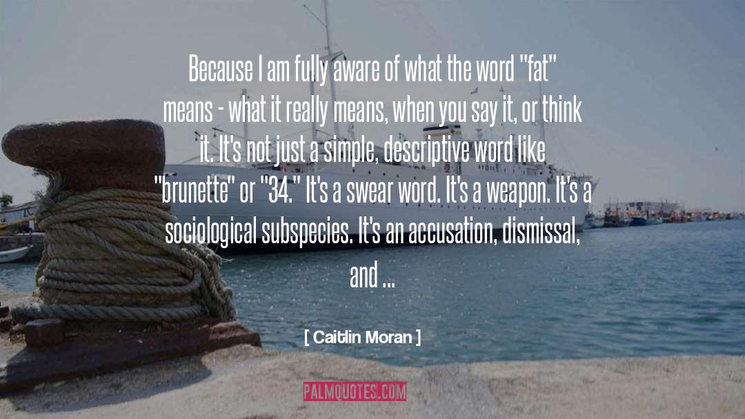 Lethal Weapon quotes by Caitlin Moran
