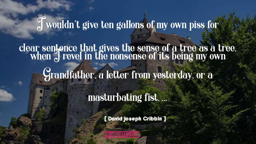 Letter quotes by David Joseph Cribbin