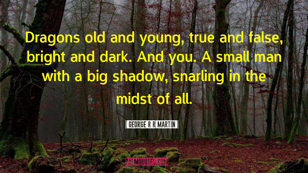 Letters In The Dark quotes by George R R Martin