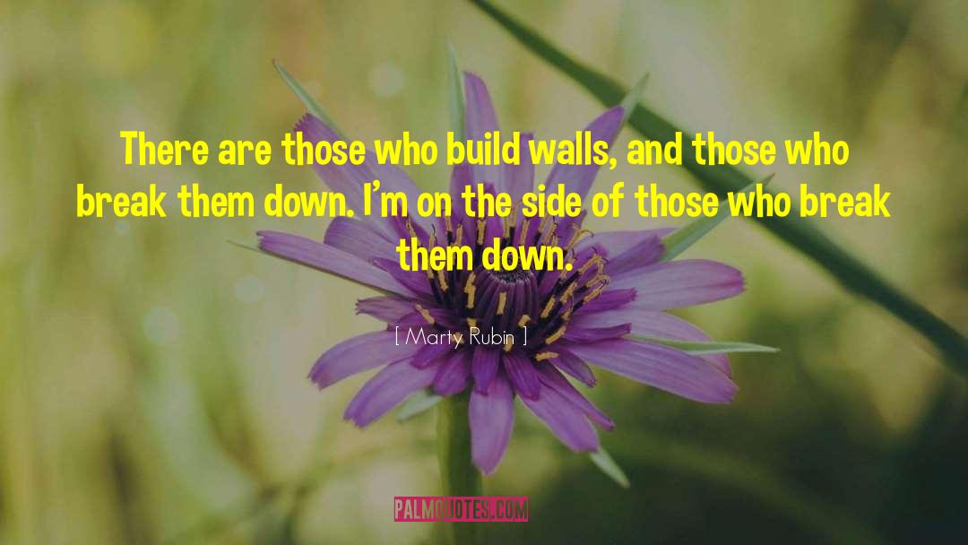 Letting Down The Walls quotes by Marty Rubin