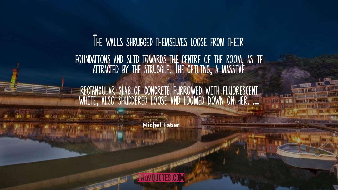 Letting Down The Walls quotes by Michel Faber