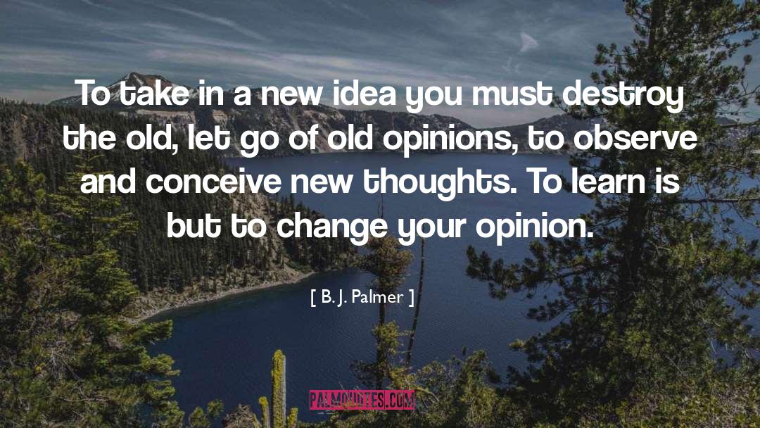 Letting Go Buddhist quotes by B. J. Palmer
