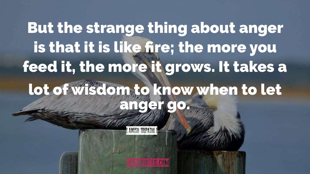 Letting Go Of Anger quotes by Amish Tripathi