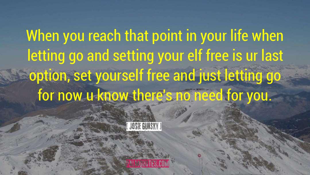 Letting Go Of Life quotes by Josie Gursky