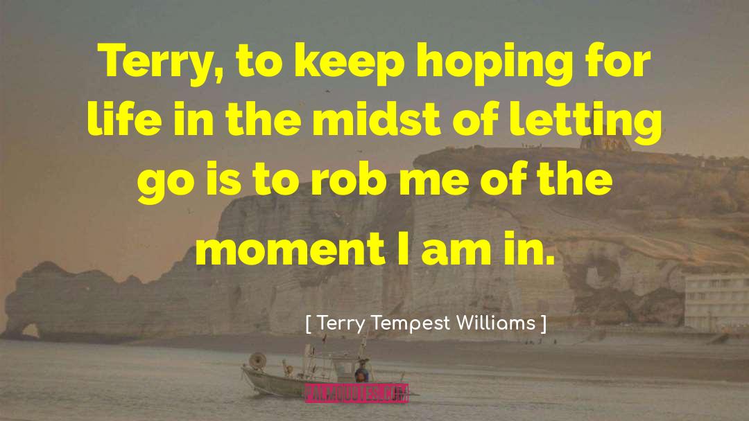 Letting Go Of Petty Things quotes by Terry Tempest Williams