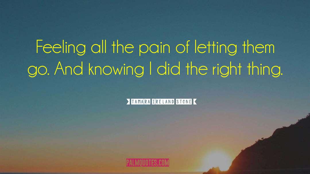 Letting Go Of The Outcome quotes by Tamara Ireland Stone