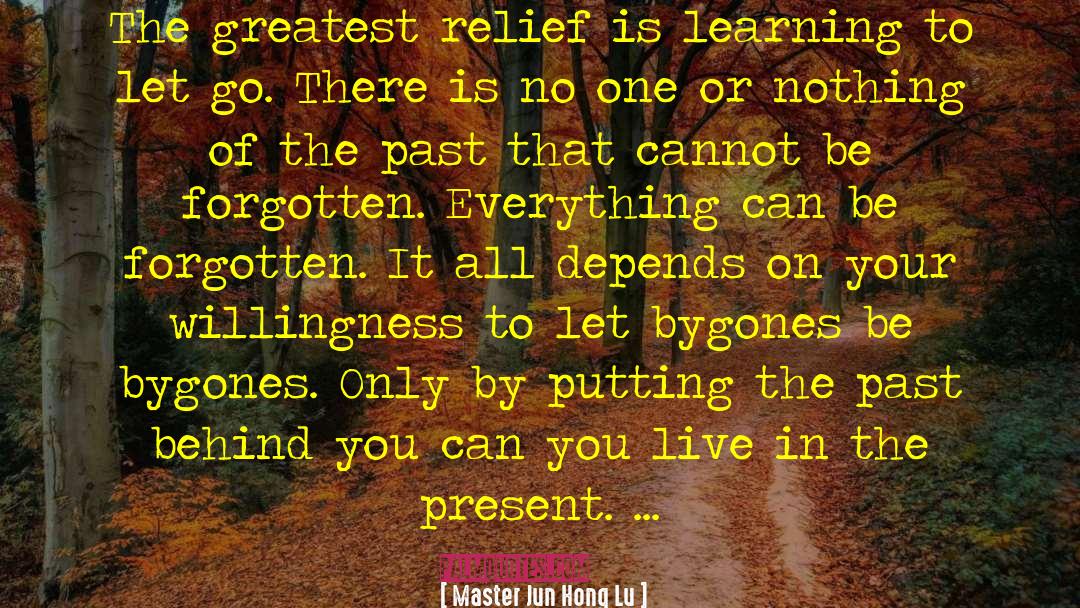 Letting Go Of The Past quotes by Master Jun Hong Lu