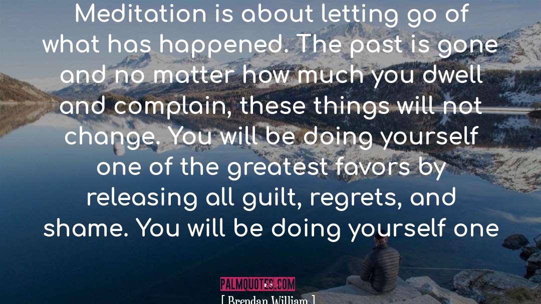 Letting Go Of The Past quotes by Brendan William