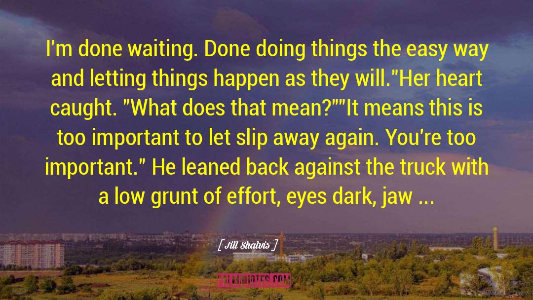 Letting Things Happen quotes by Jill Shalvis