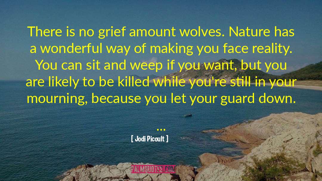 Letting Your Guard Down quotes by Jodi Picoult