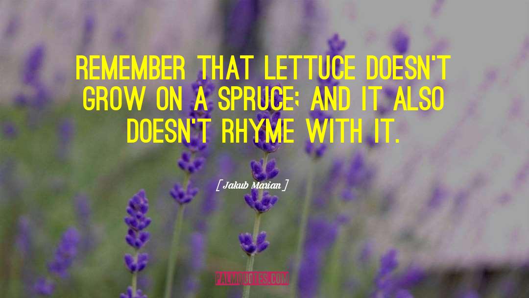 Lettuce quotes by Jakub Marian