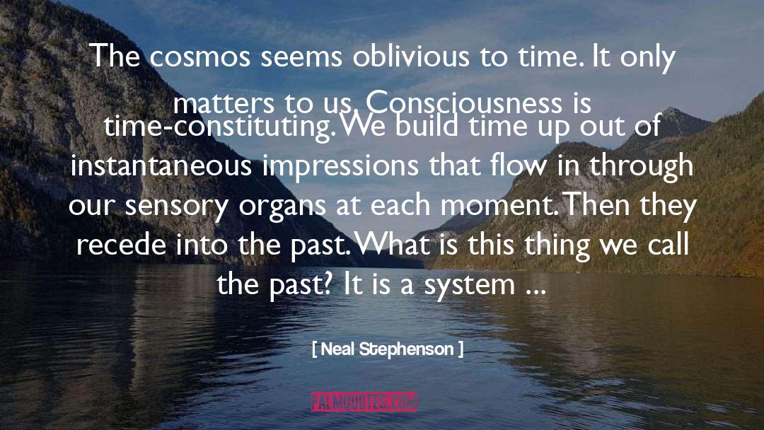 Levels Of Consciousness quotes by Neal Stephenson