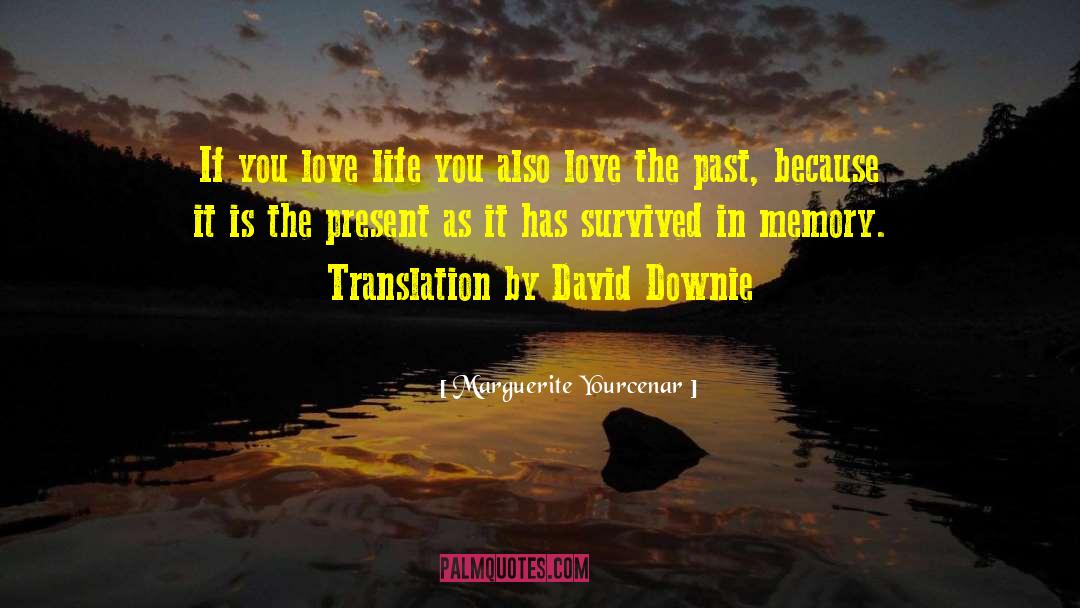 Levemente Translation quotes by Marguerite Yourcenar