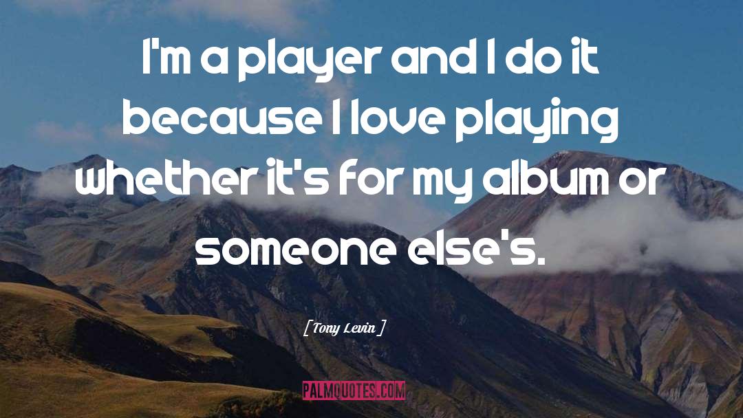 Levin quotes by Tony Levin