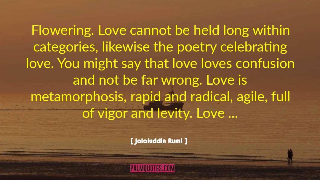 Levity quotes by Jalaluddin Rumi