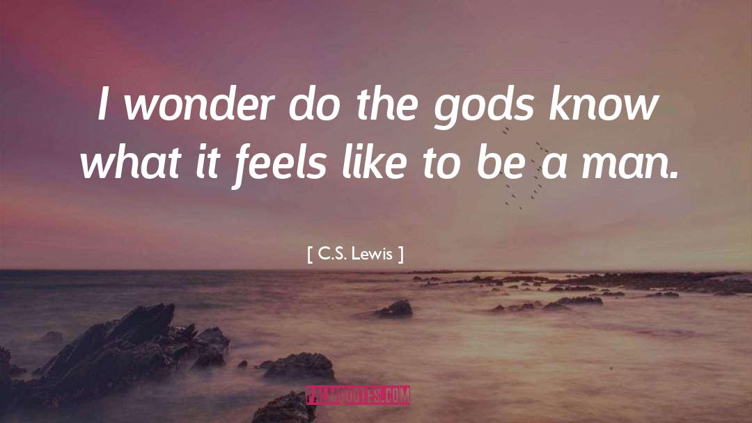 Lewis Caroll quotes by C.S. Lewis