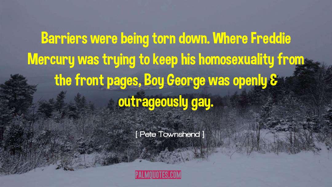 Lgbt quotes by Pete Townshend