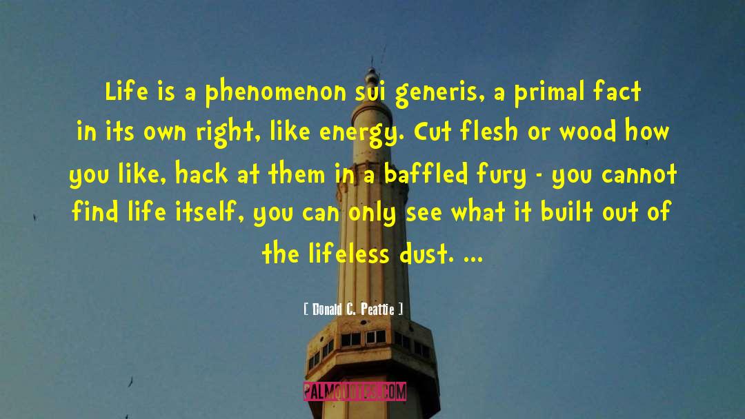 Lhermittes Phenomenon quotes by Donald C. Peattie