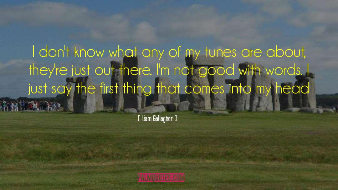 Liam quotes by Liam Gallagher