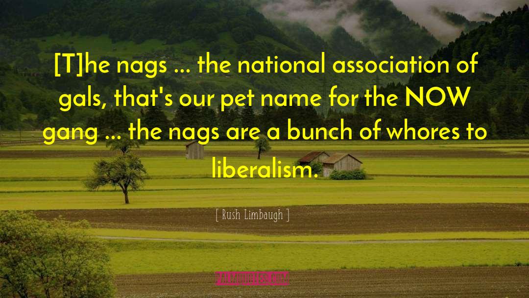 Liberalism quotes by Rush Limbaugh