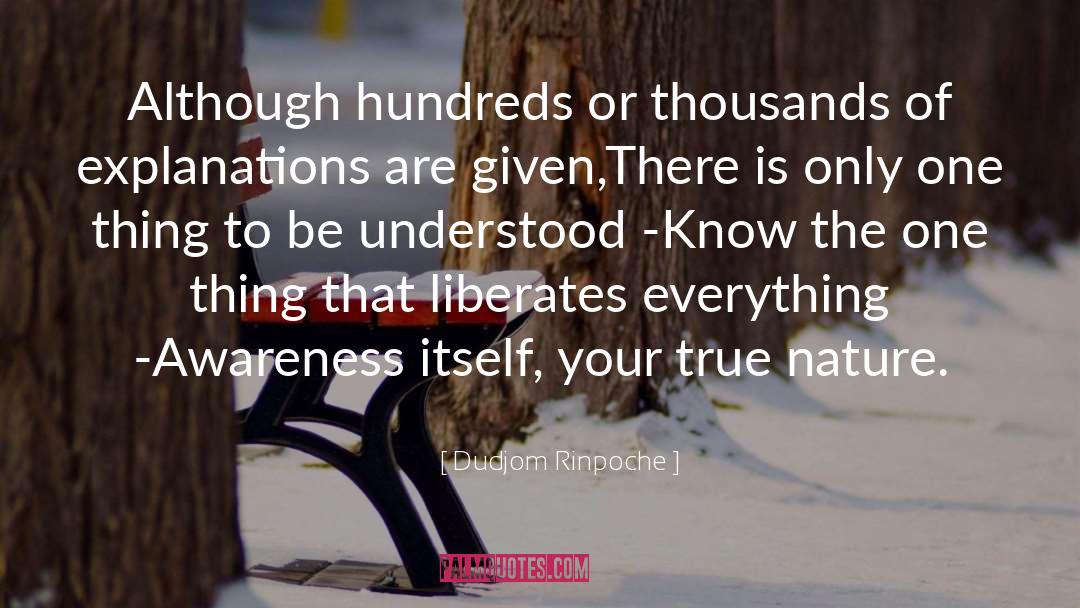 Liberates quotes by Dudjom Rinpoche