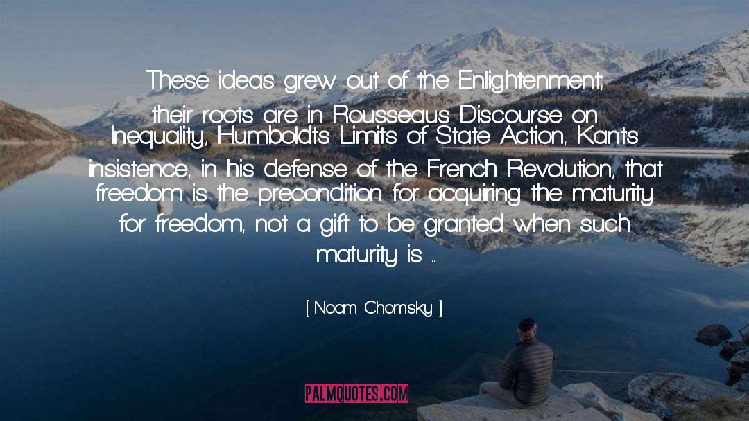 Libertarian quotes by Noam Chomsky