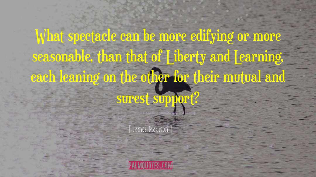 Liberty Mutual New Quote quotes by James Madison