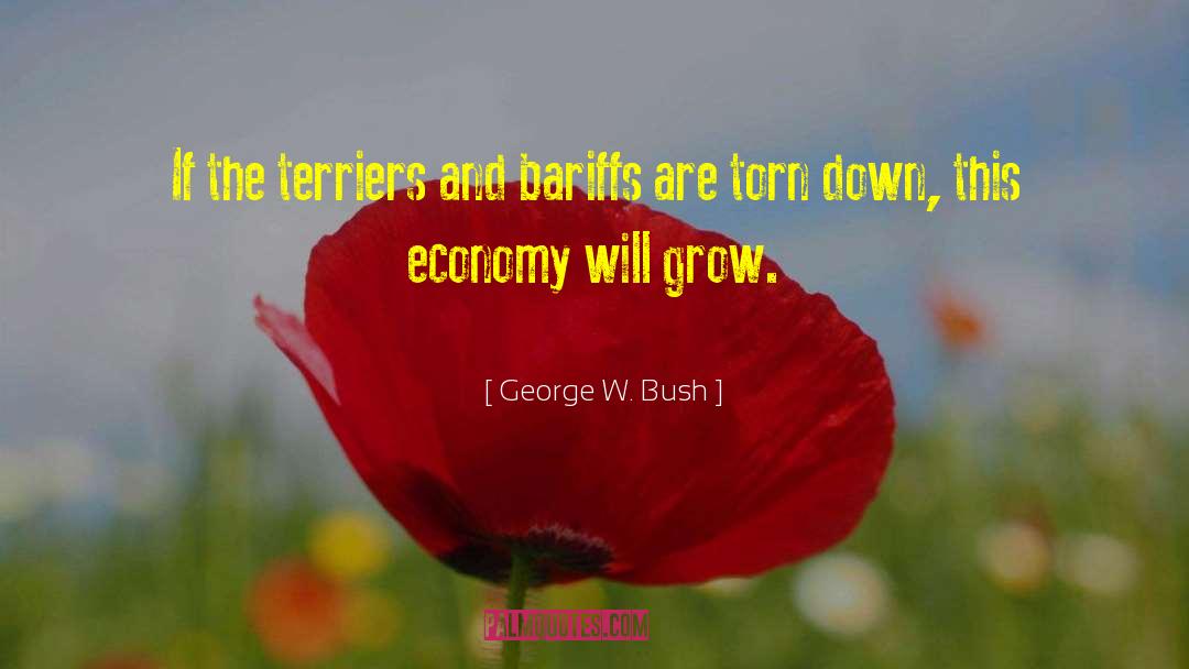 Libidinal Economy quotes by George W. Bush