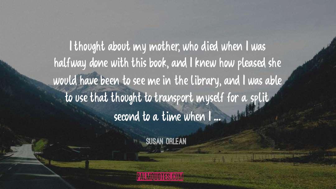 Librarian quotes by Susan Orlean