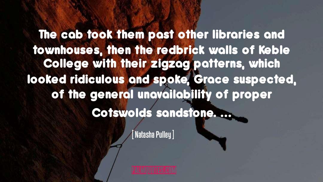 Libraries And Librarians quotes by Natasha Pulley