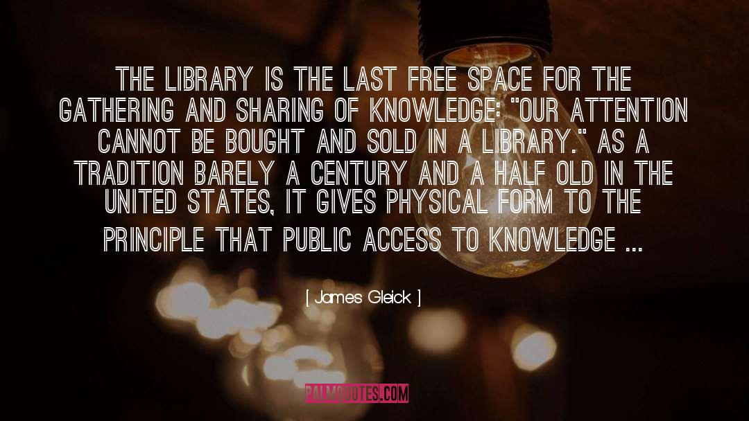 Library And Information Science quotes by James Gleick