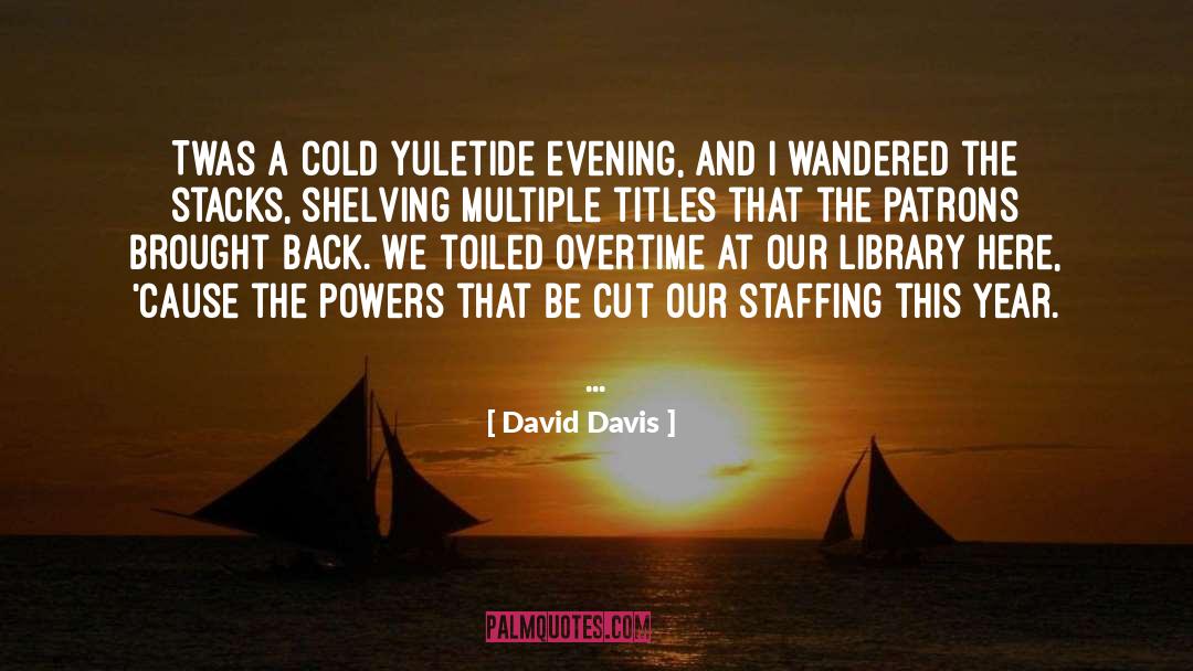 Library Libraries quotes by David Davis