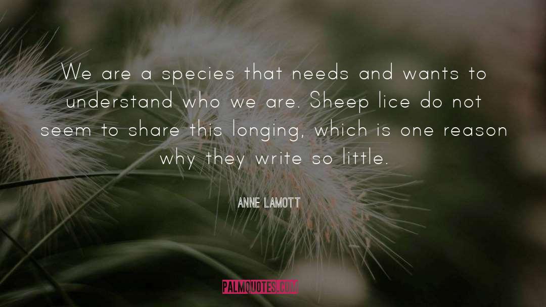 Lice quotes by Anne Lamott