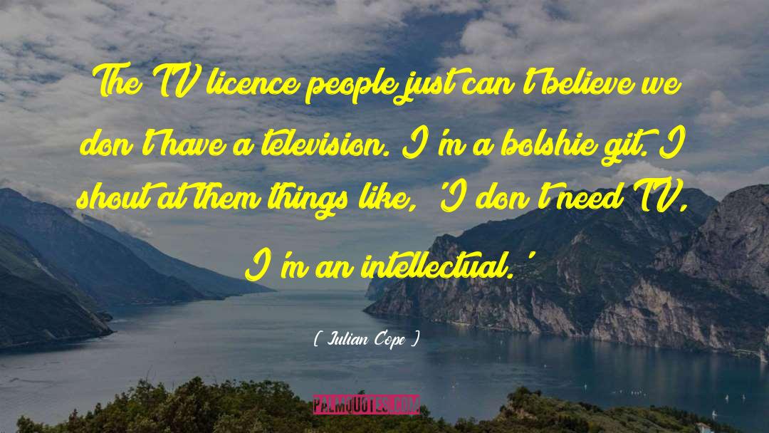 Licence quotes by Julian Cope