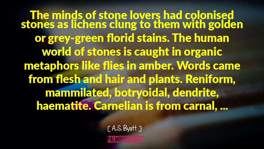 Lichens quotes by A.S. Byatt