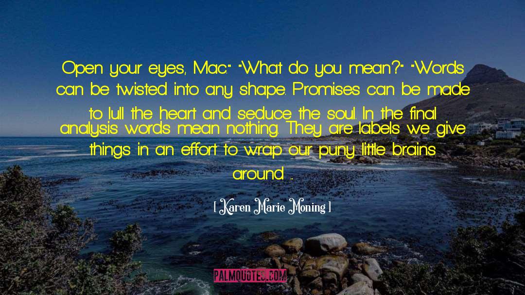 Lick And Promises quotes by Karen Marie Moning